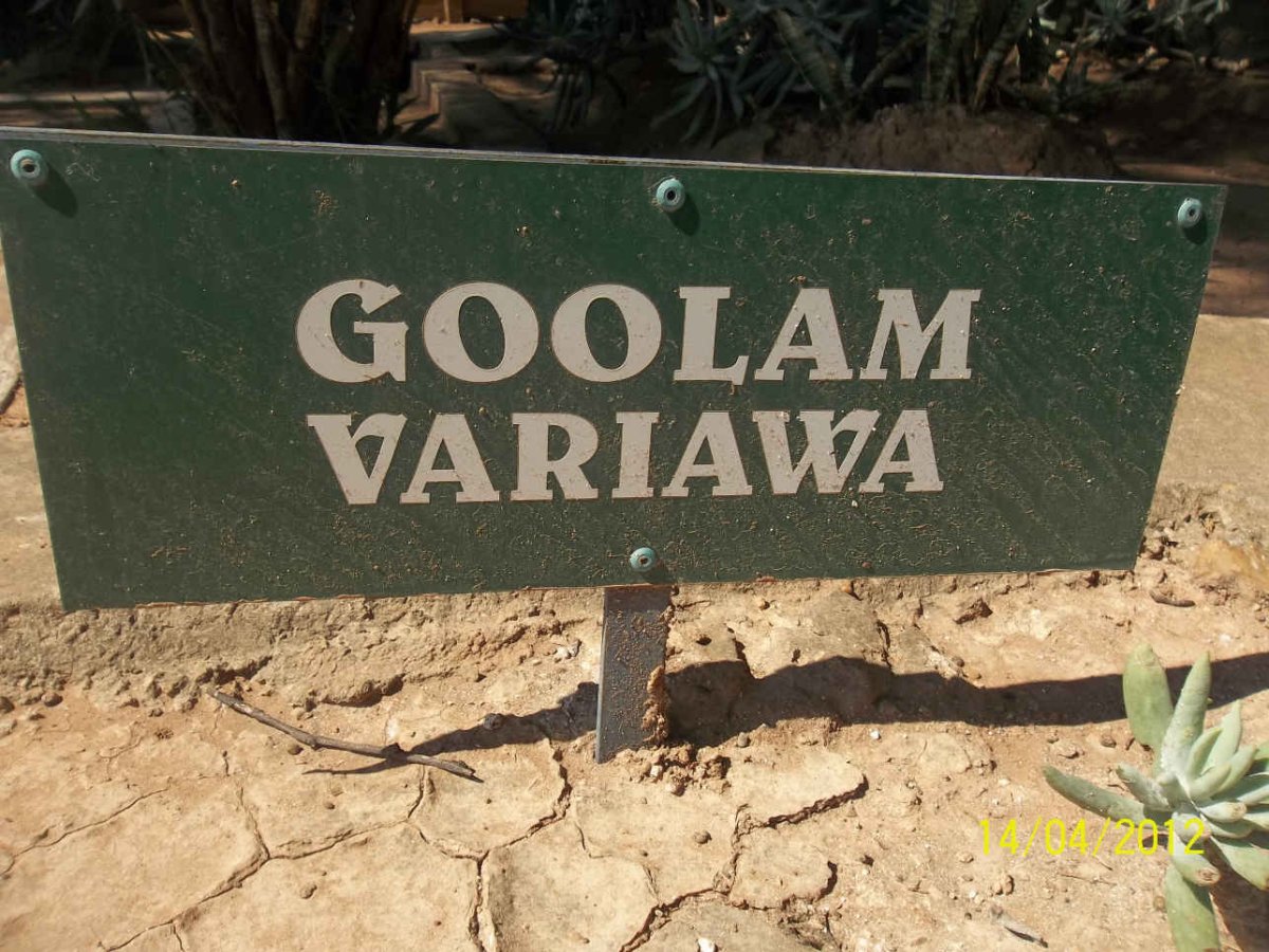 VARIAWA Goolam