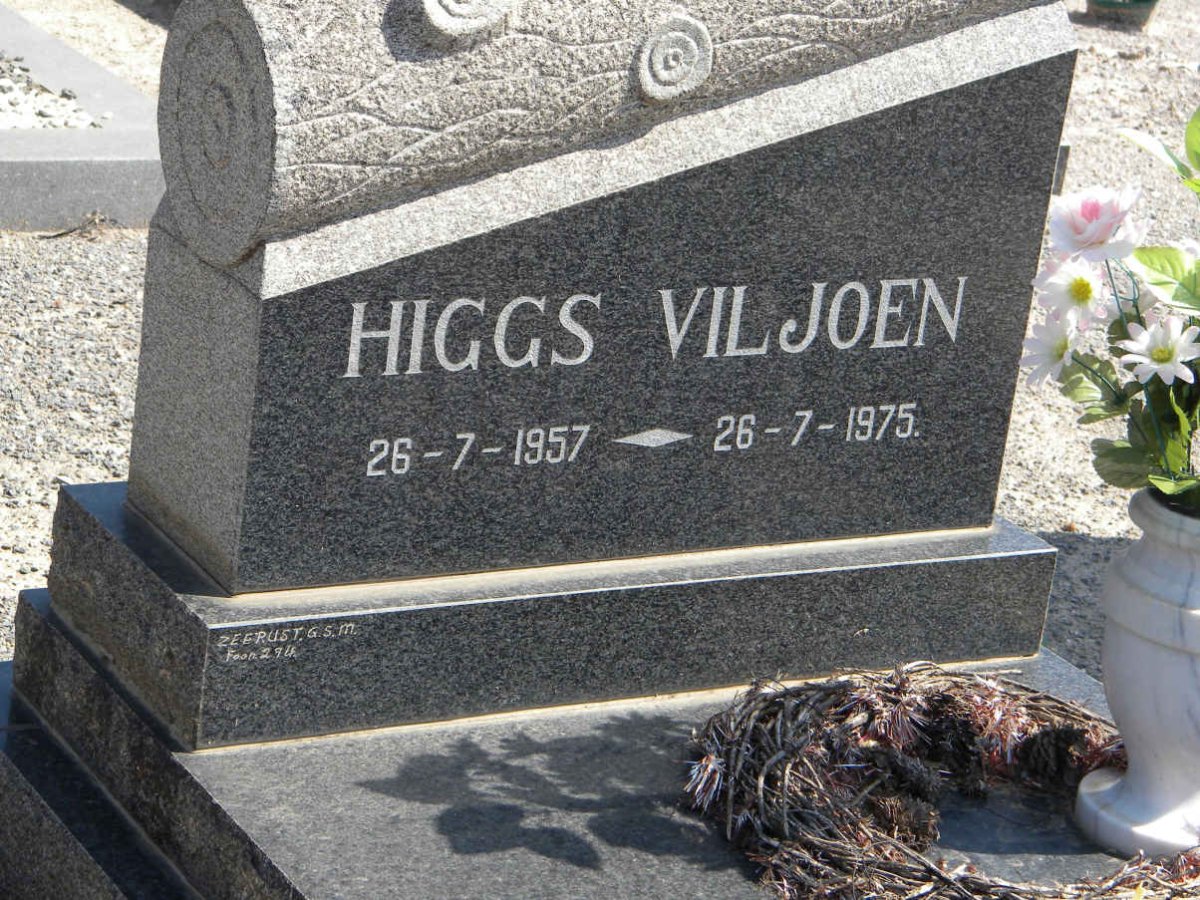 VILJOEN Higgs 1957-1975