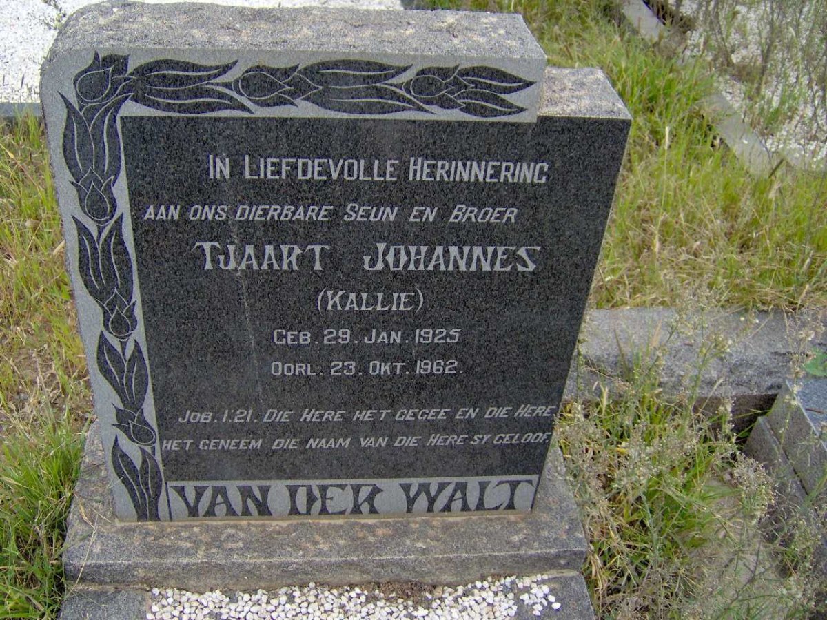WALT Tjaart Johannes, van der 1925-1962