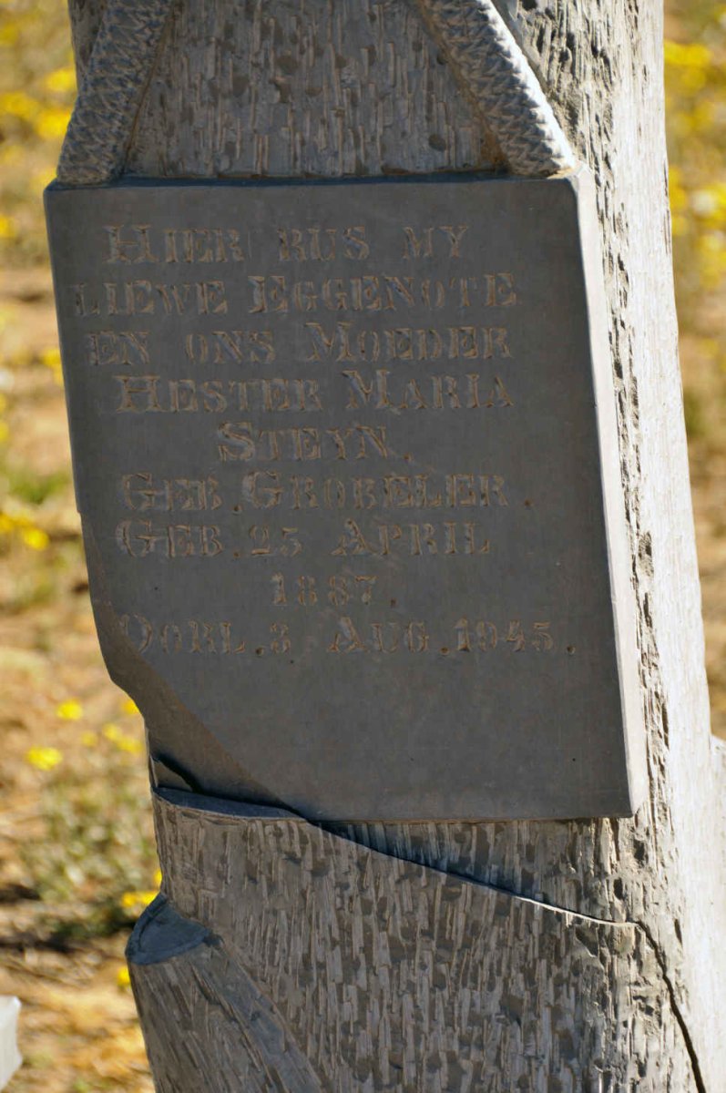 STEYN Hester Maria nee GROBELER 1887-1945