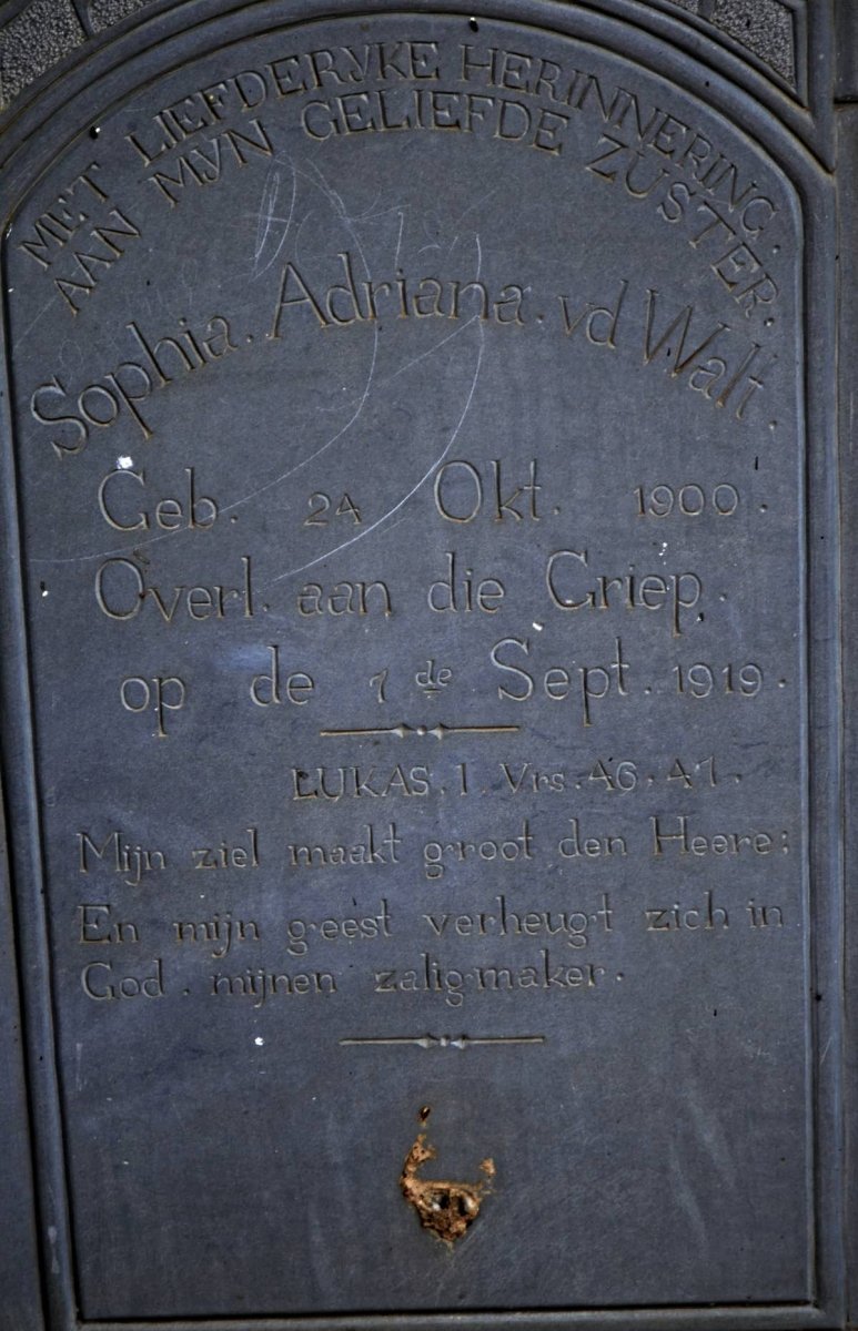 WALT Sophia Adriana, v.d. 1900-1919