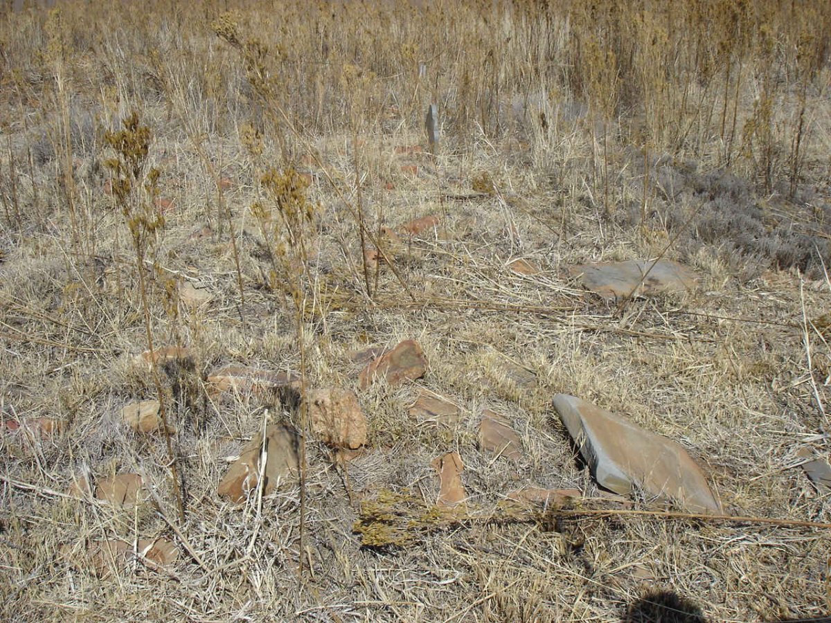 1. Overview