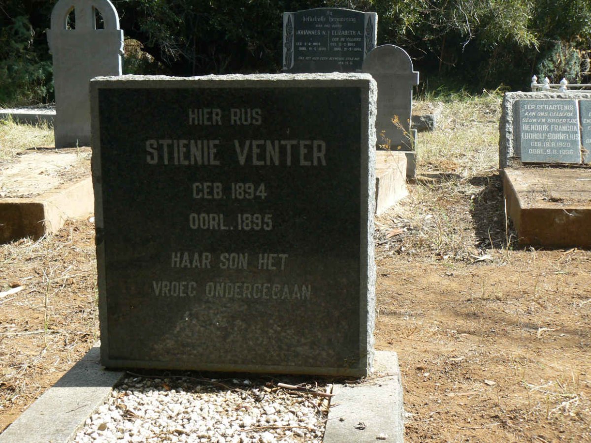 VENTER Stienie 1894-1895