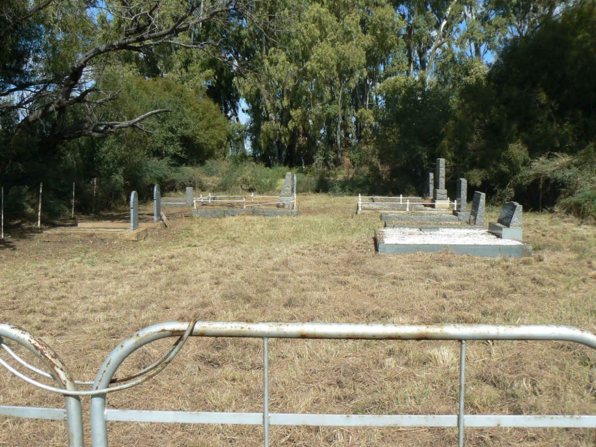 1. Overview