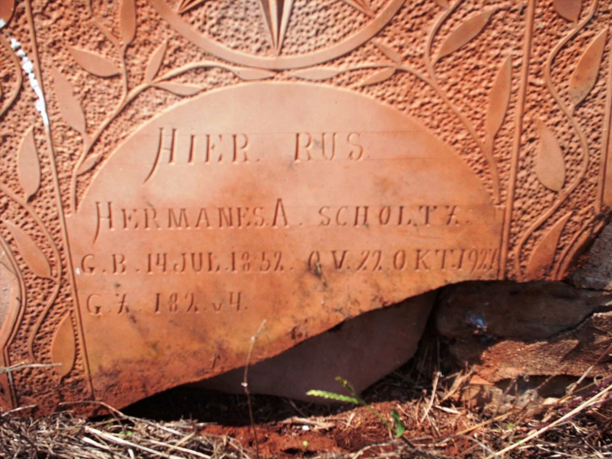 SCHOLTZ Hermanes A. 1852-1927