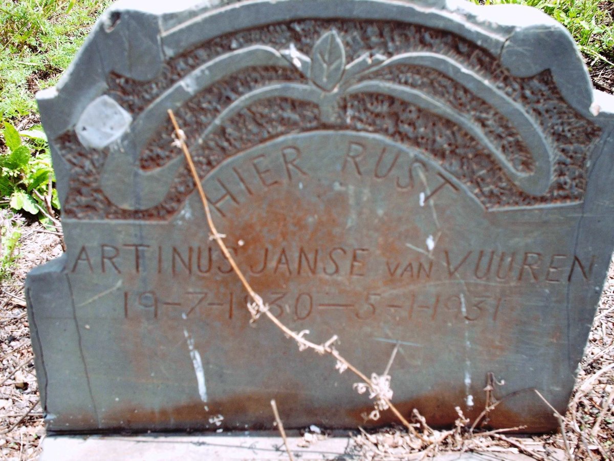 VUUREN Marthinus, Janse van 1930-1931