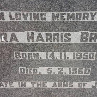 BROWN Vera Harris 1950-1960
