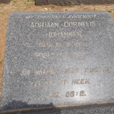 BOSCH Adriaan Cornelis Johannes 1918-19??