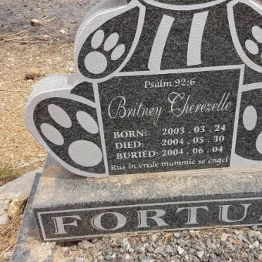 FORTUIN Britney Cherezelle 2003-2004