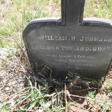 JOHNSON William H. -1902