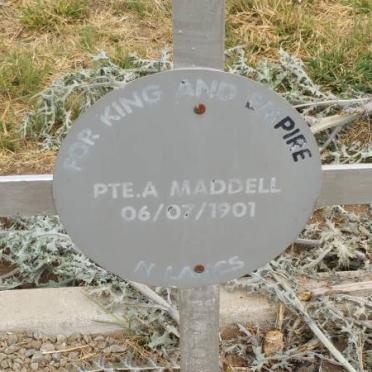 MADDELL A. -1901