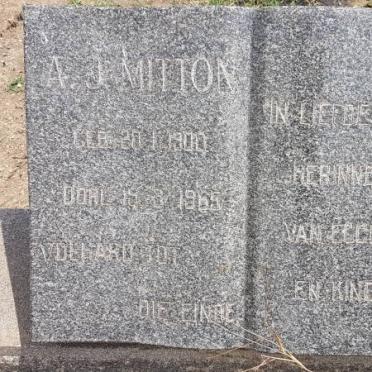 MITTON A.J. 1900-1965
