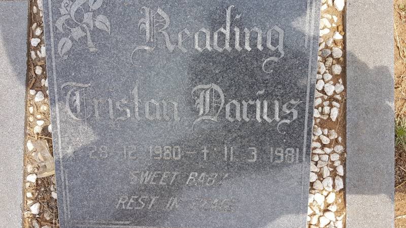 READING Cristan Darius 1980-1981