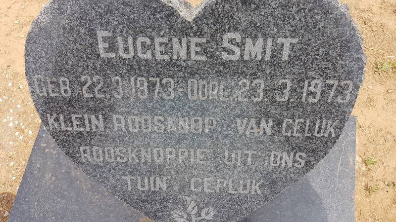 SMIT Eugene 1973-1973