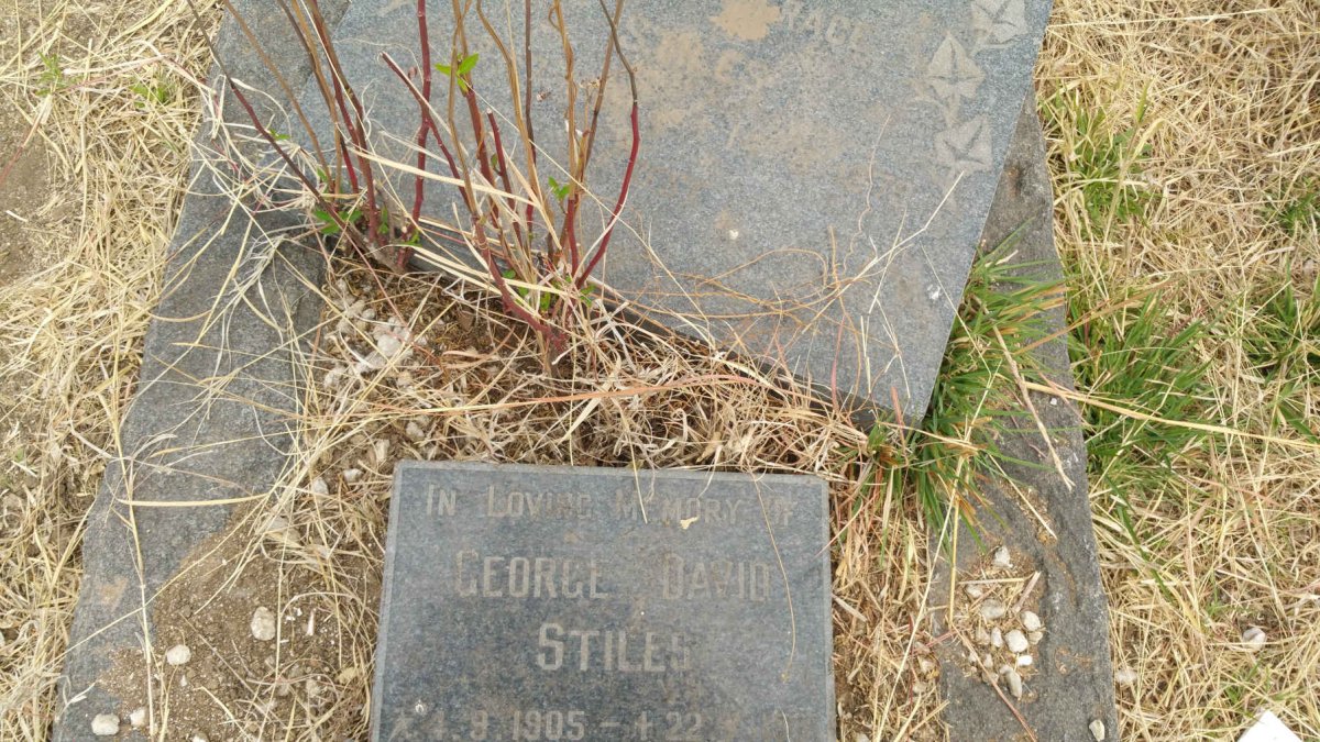 STILES Dorothy Grace 1899-1979 :: STILES George David 1905-1981