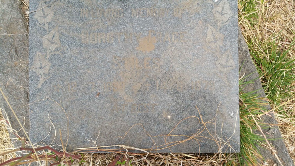 STILES Dorothy Grace 1899-1979 :: STILES George David 1905-1981
