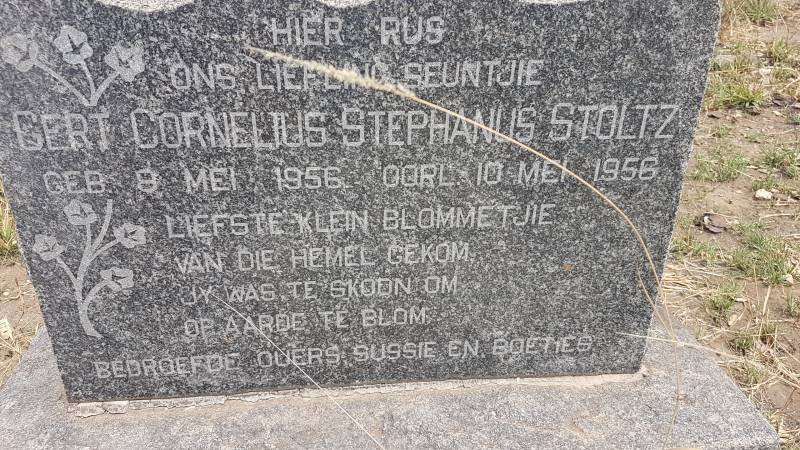 STOLTZ Gert Cornelius Stephanus 1956-1956