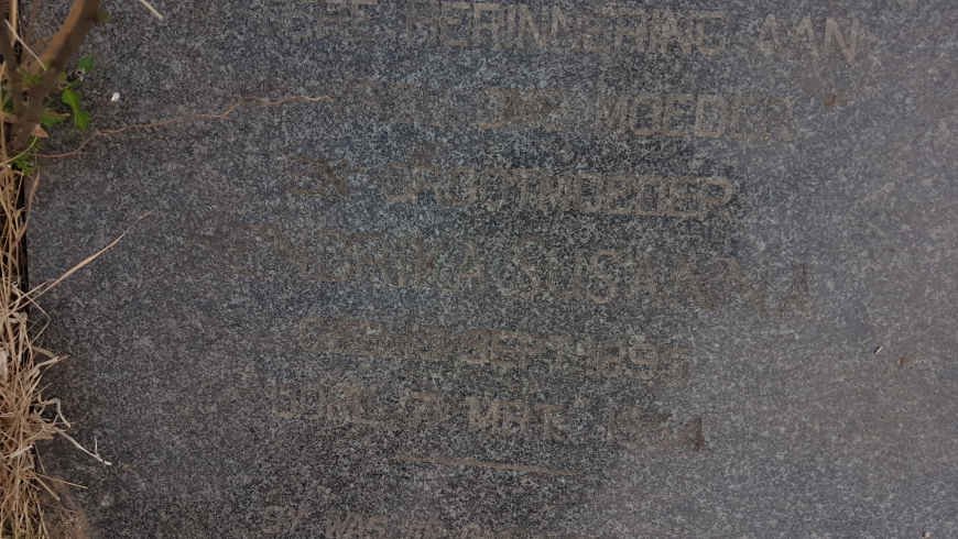 ? Hendrika Susanna nee BOTHA 1895-195?