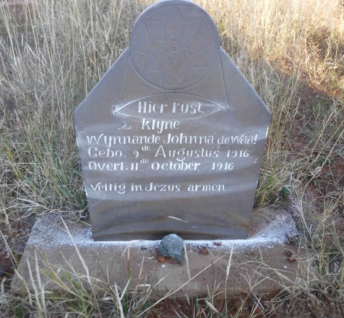 WAAL Wynnande Johnna, de 1916-1916