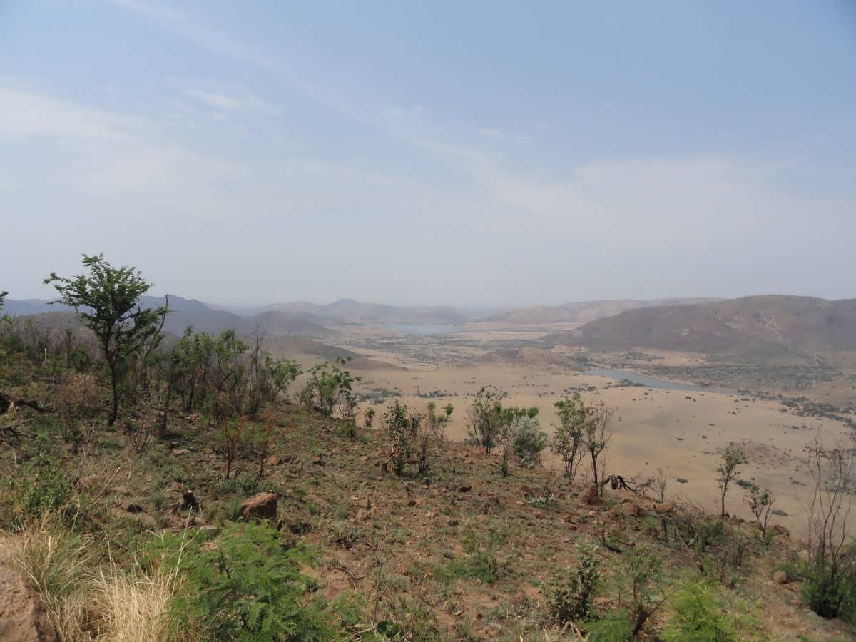 01. Overview