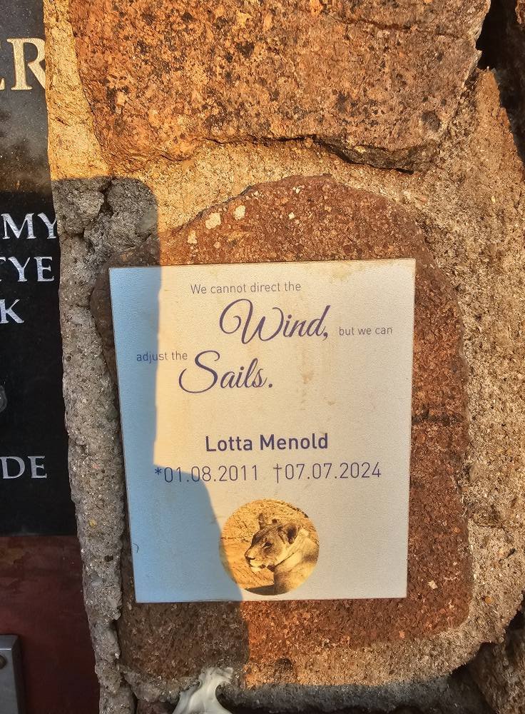 MENOLD Lotta 2011-2024