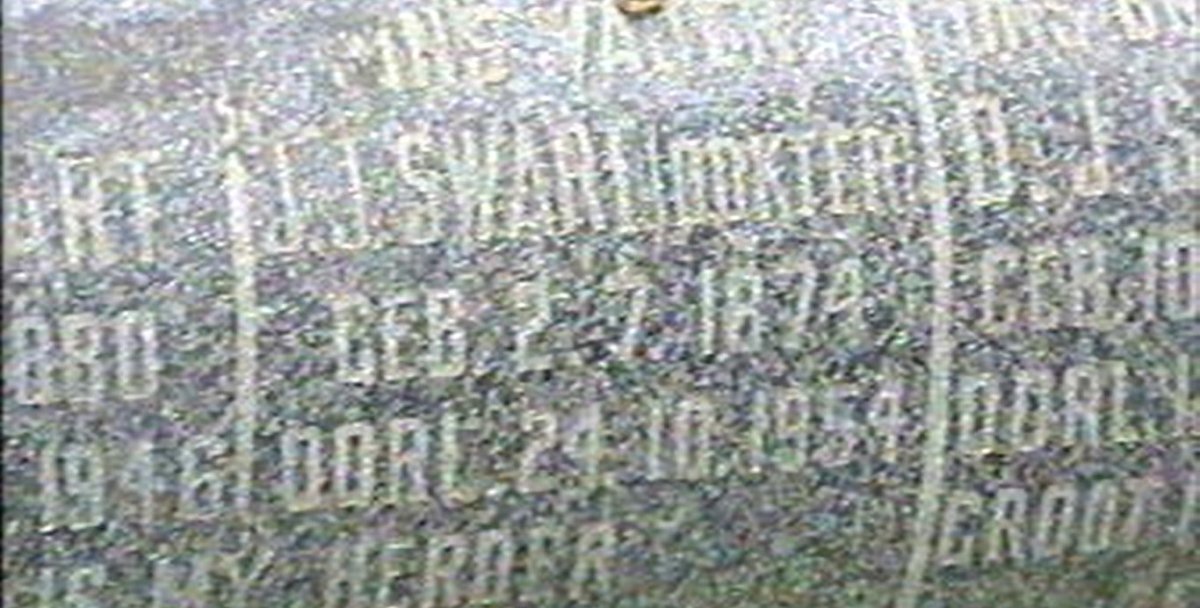 SWART J.J. 1874-1954 :: SWART E.A. 1880-1946 :: SWART D.J. 1918-1942