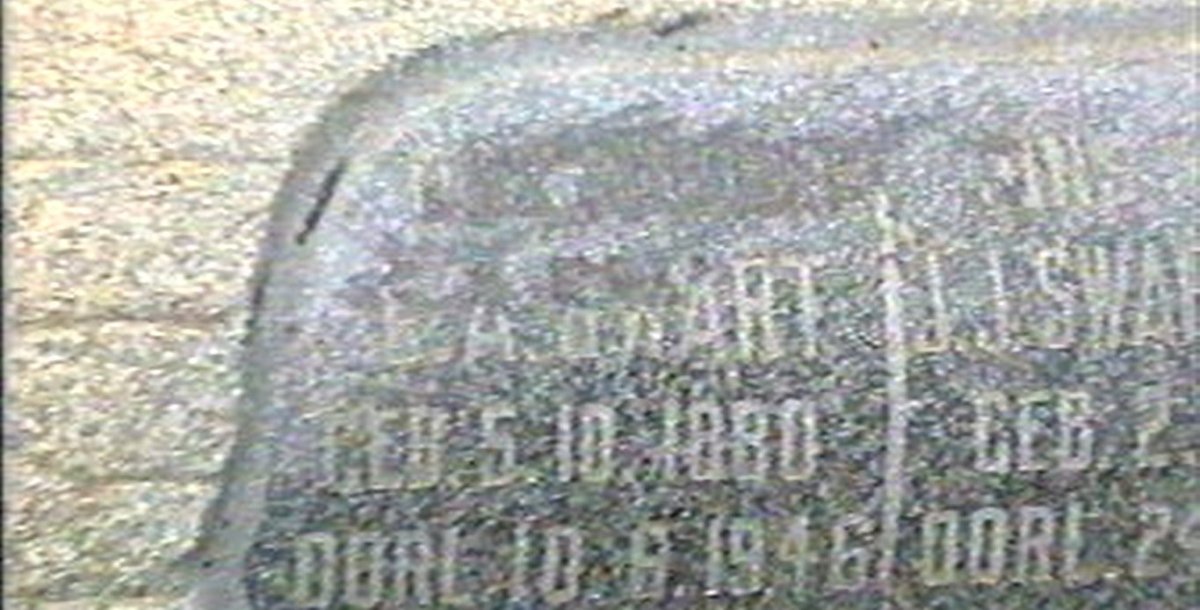 SWART J.J. 1874-1954 :: SWART E.A. 1880-1946 :: SWART D.J. 1918-1942