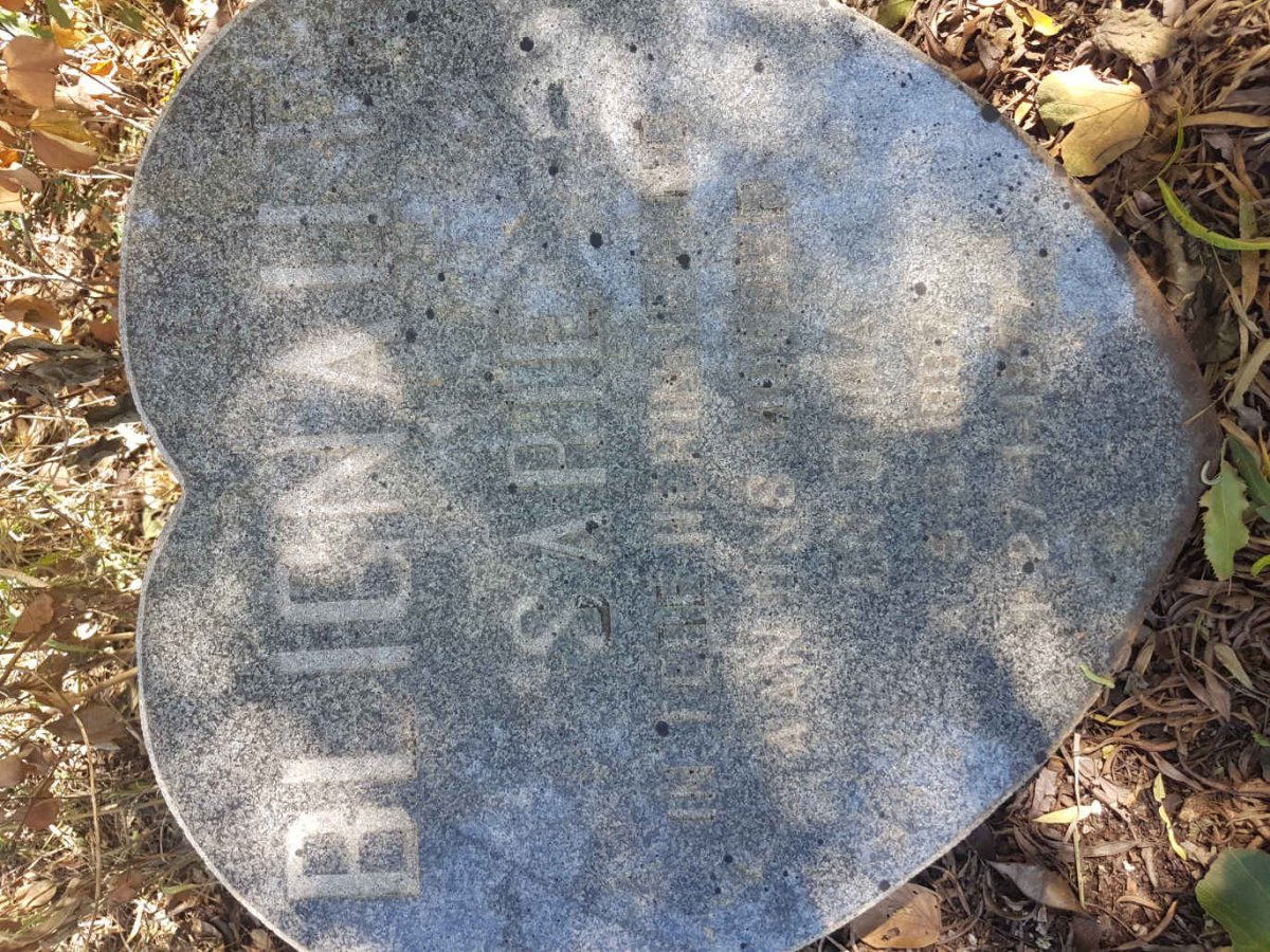 BLIGNAUT Sarie 1887-1977