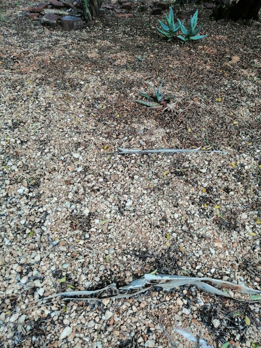 ?