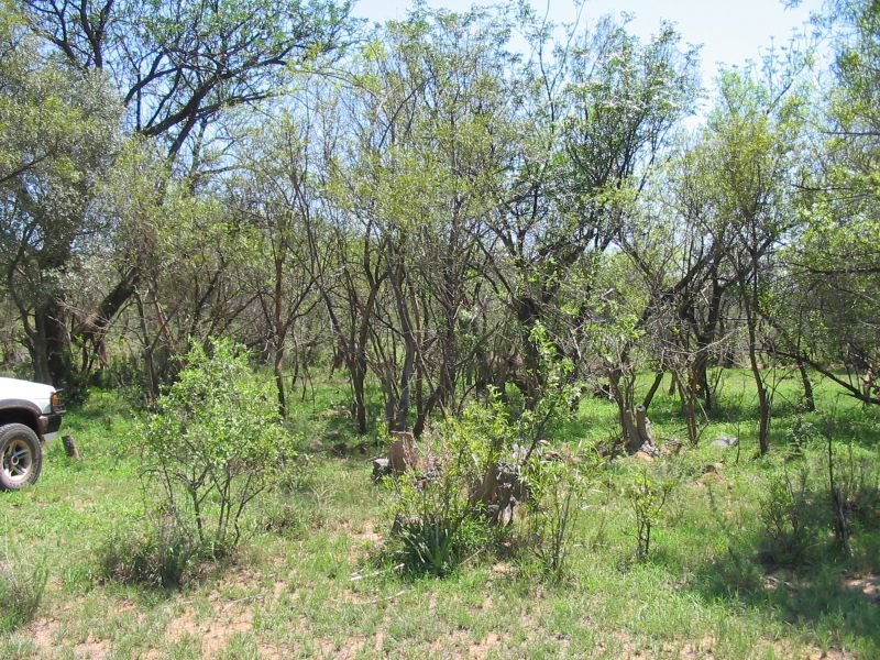 1. Oorsig/Overview