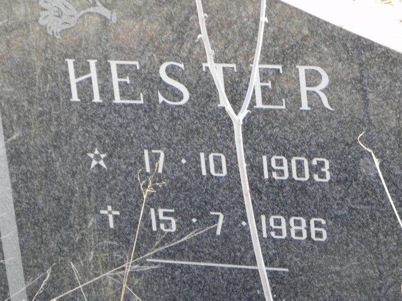 STADEN Gert, van 1893-1985 &amp; Hester 1903-1986