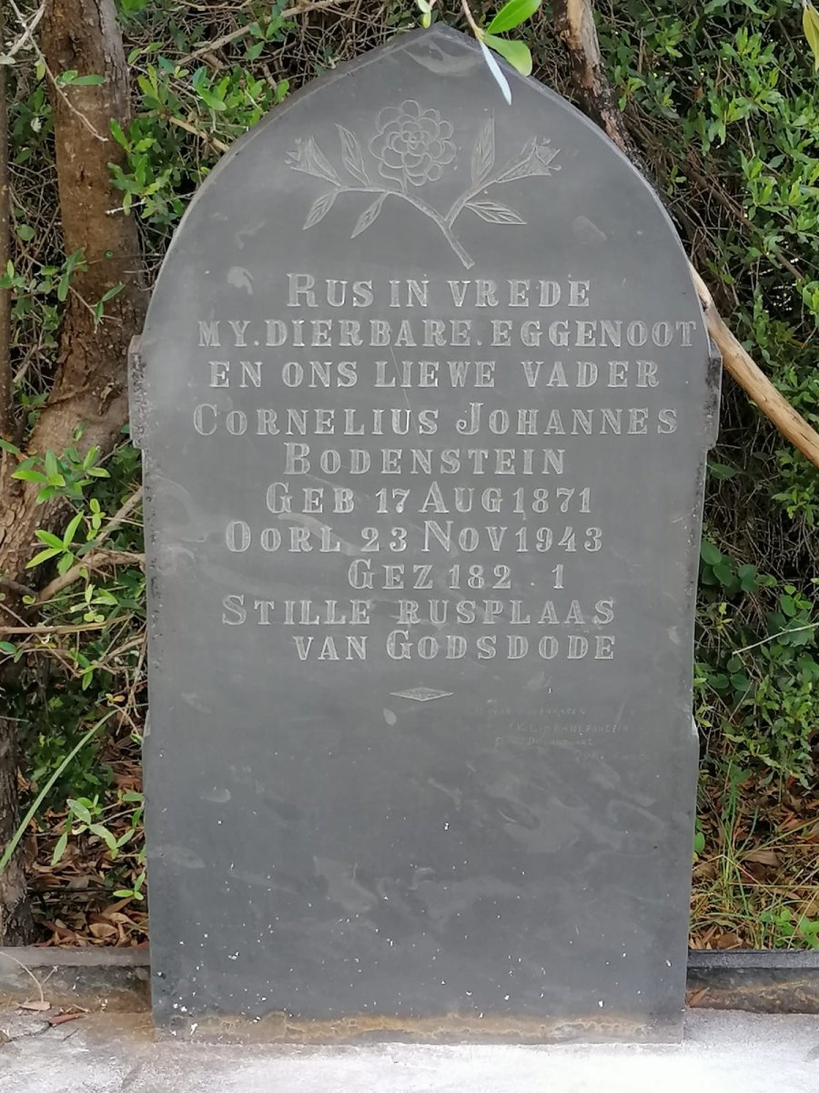 BODENSTEIN Cornelius Johannes 1871-1943