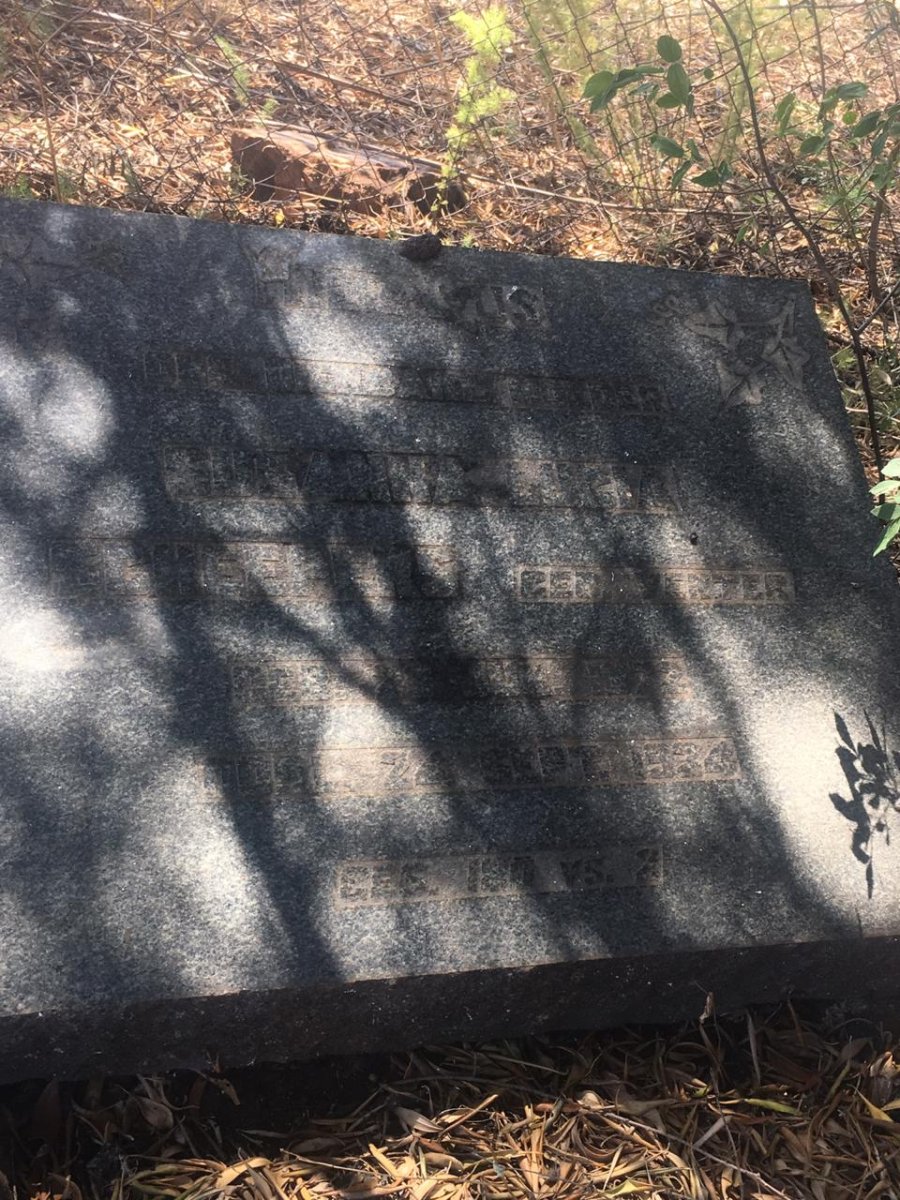 SCHEEPERS Susanna Lucia nee VENTER 1872-1934