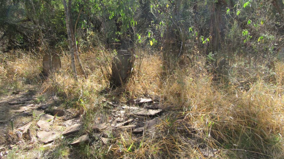 4. Overview