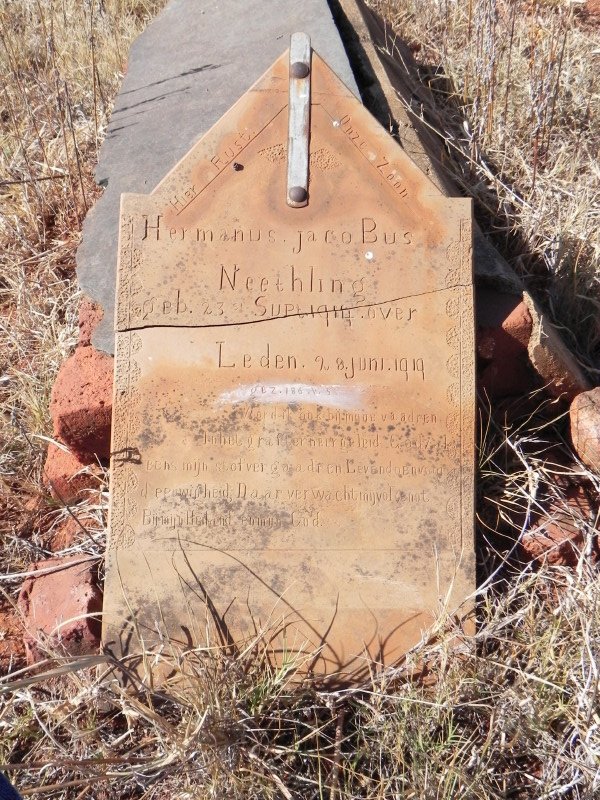 NEETHLING Hermanus Jacobus 1919-1919