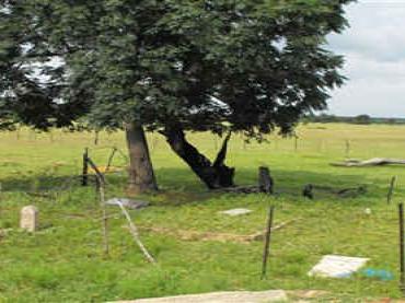 North West, MORETELEI district, Bela-Bela, Worcester 481, farm cemetery