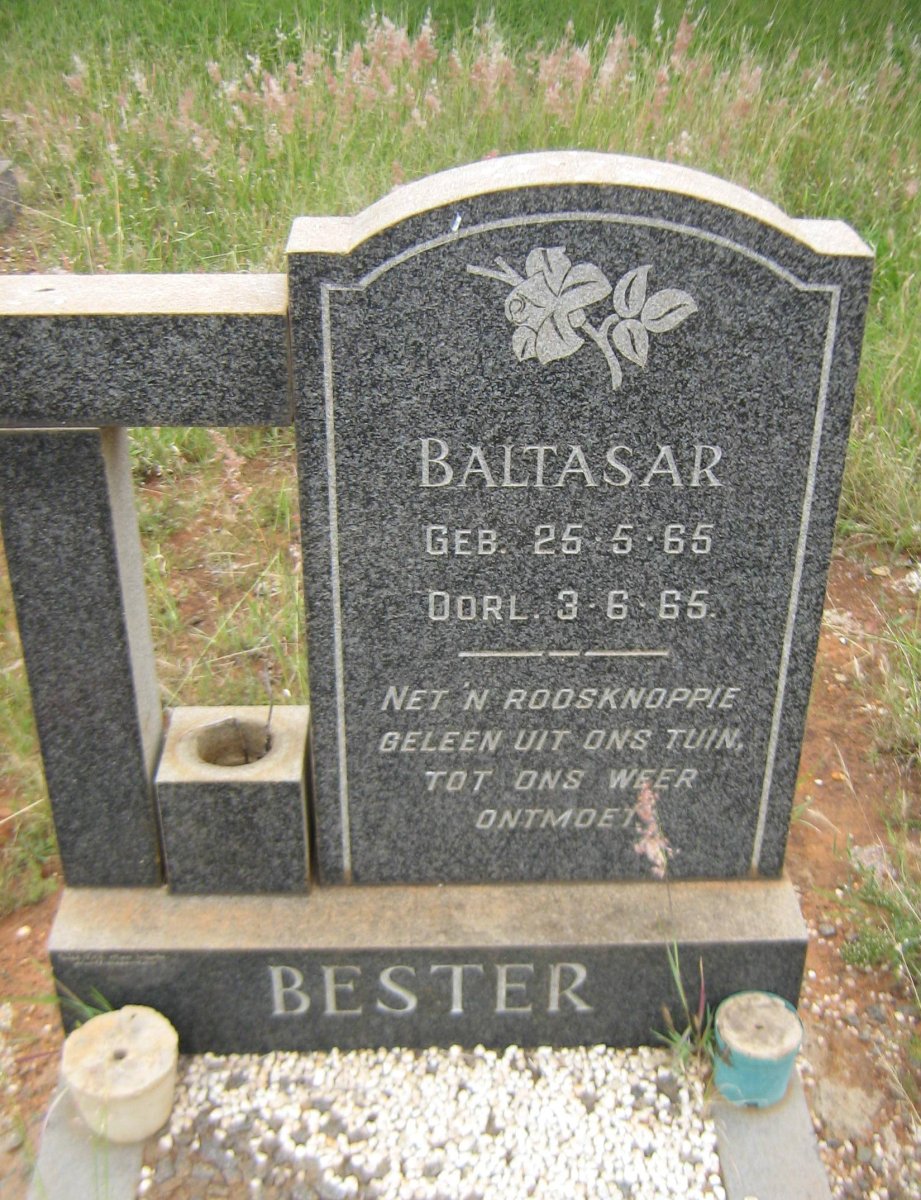 BESTER Baltasar 1965-1965