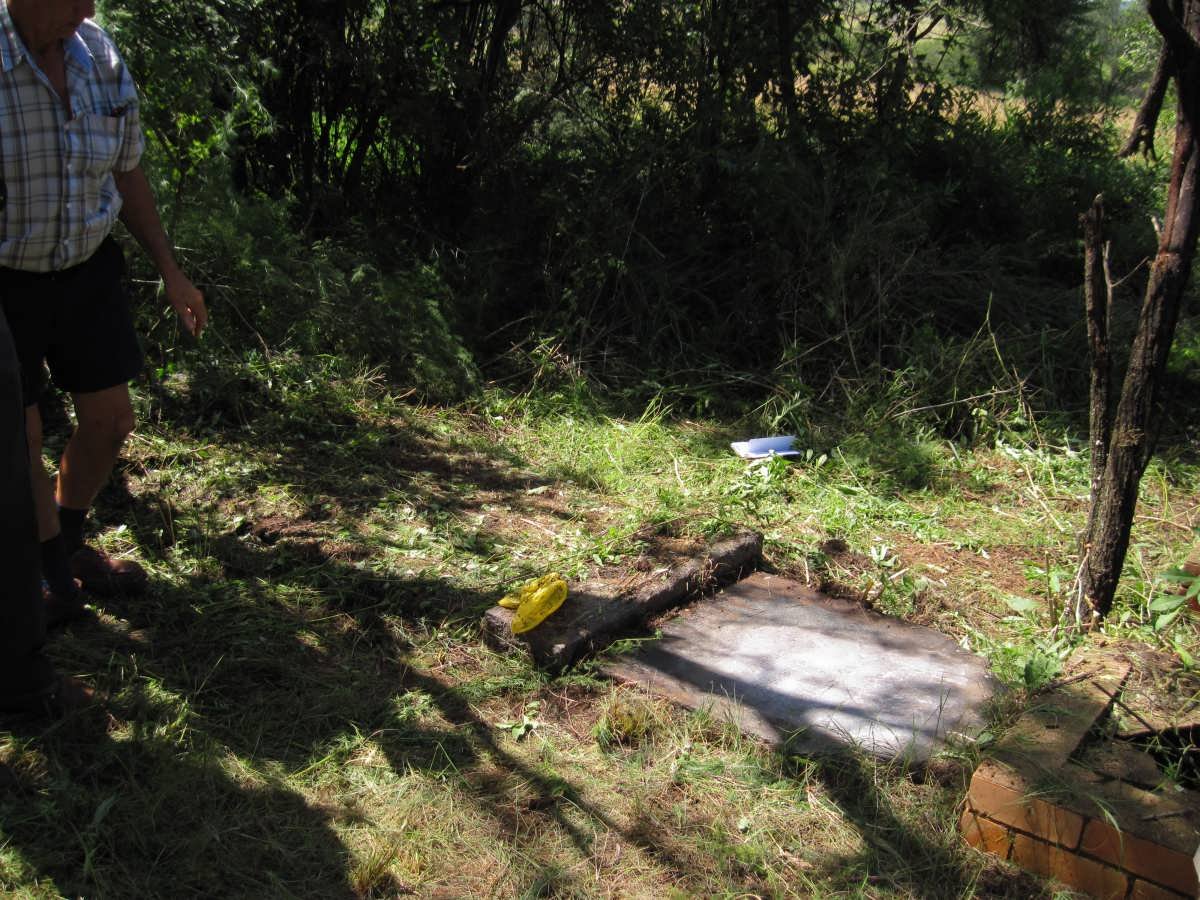 1. Overview