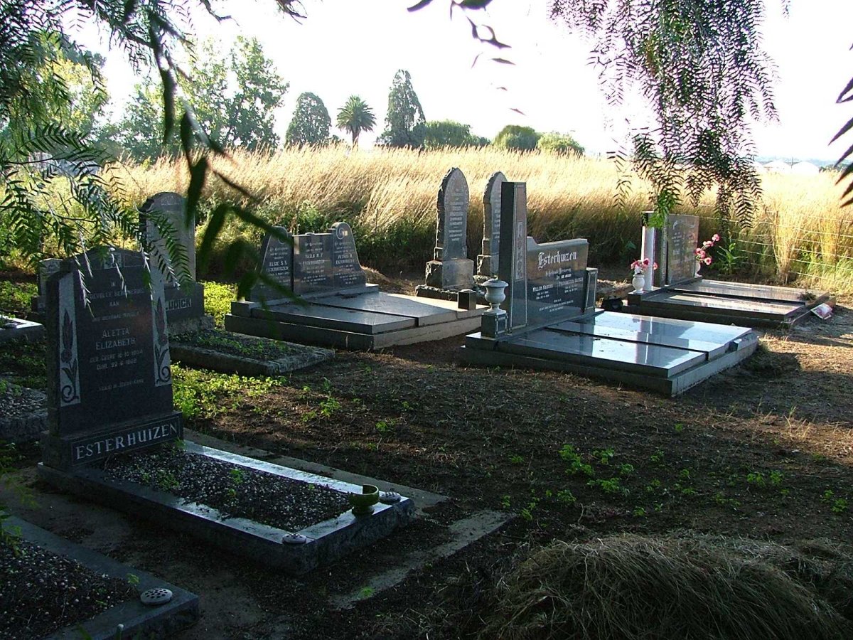 1. Overview