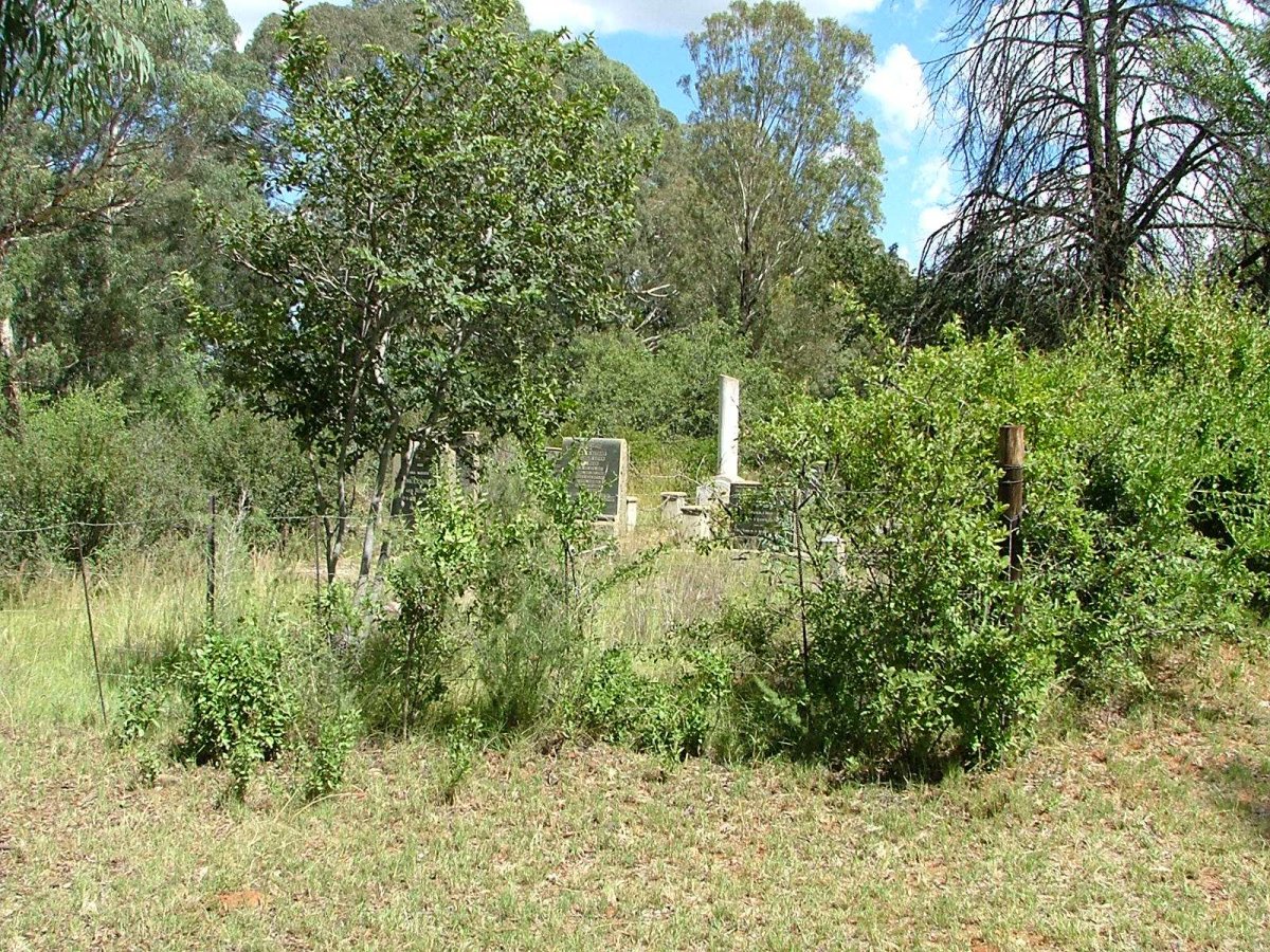 1. Overview of  Potch Witkop