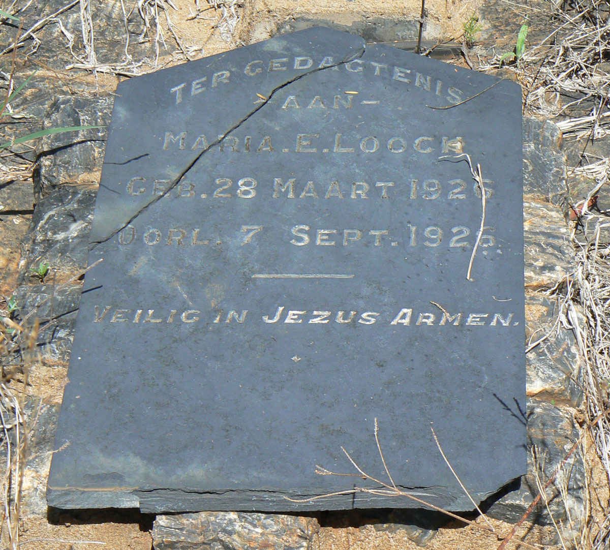 LOOCK Maria E. 1926-1926