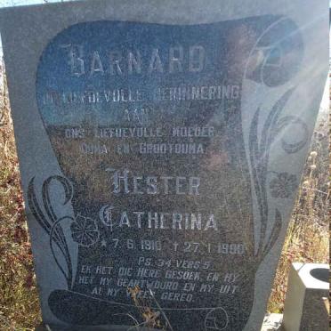 BARNARD Hester Catherina 1910-1990