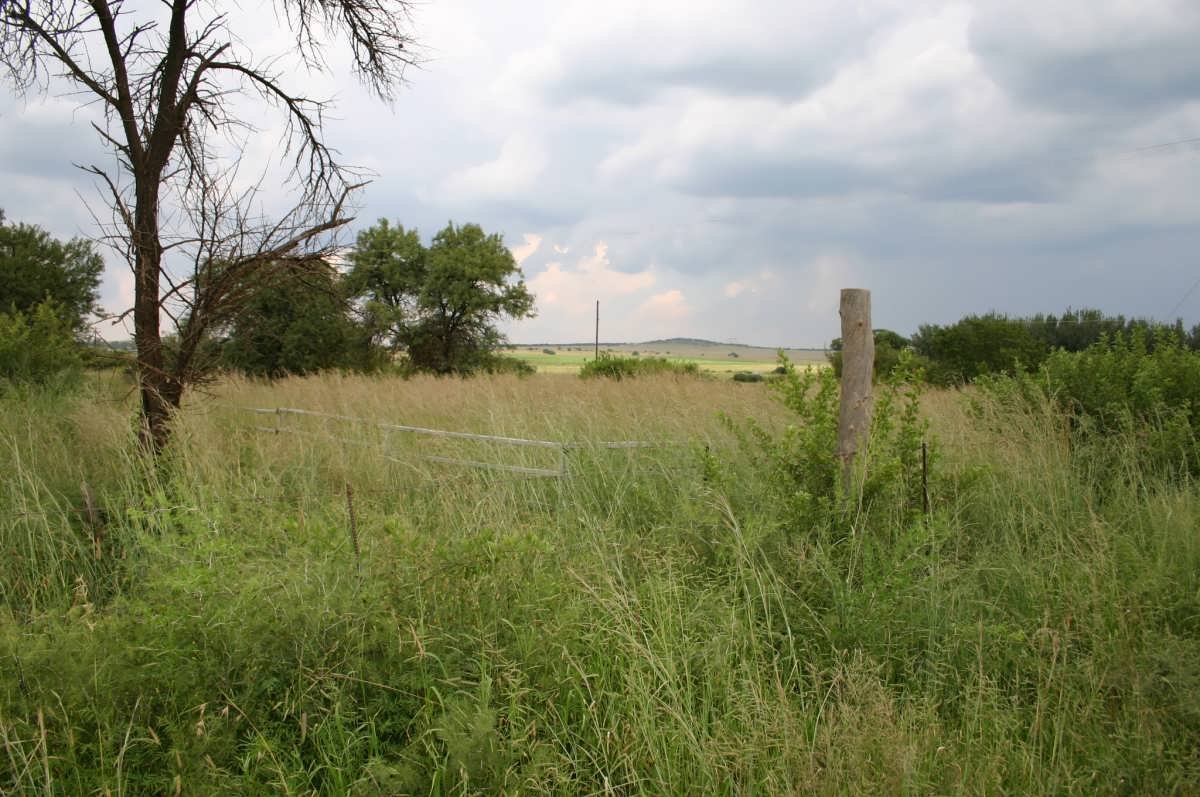 1. Overview on cemetery