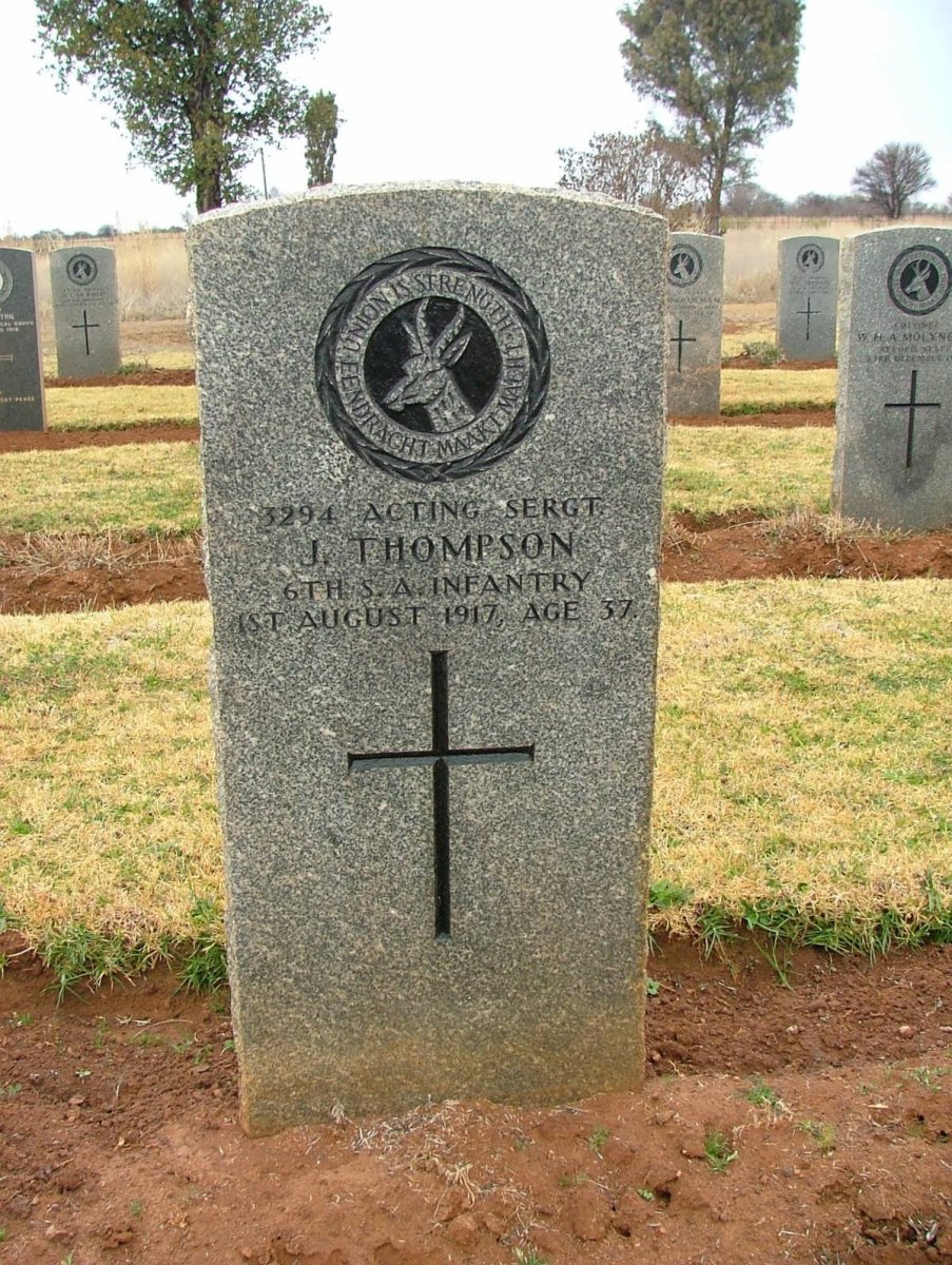 THOMPSON J. -1917