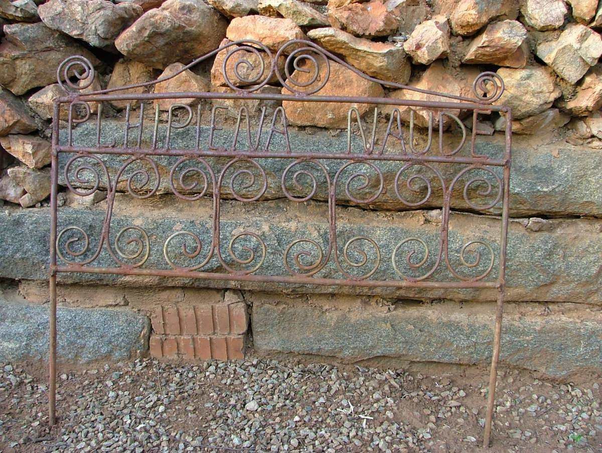 NAUDE Plhipiena