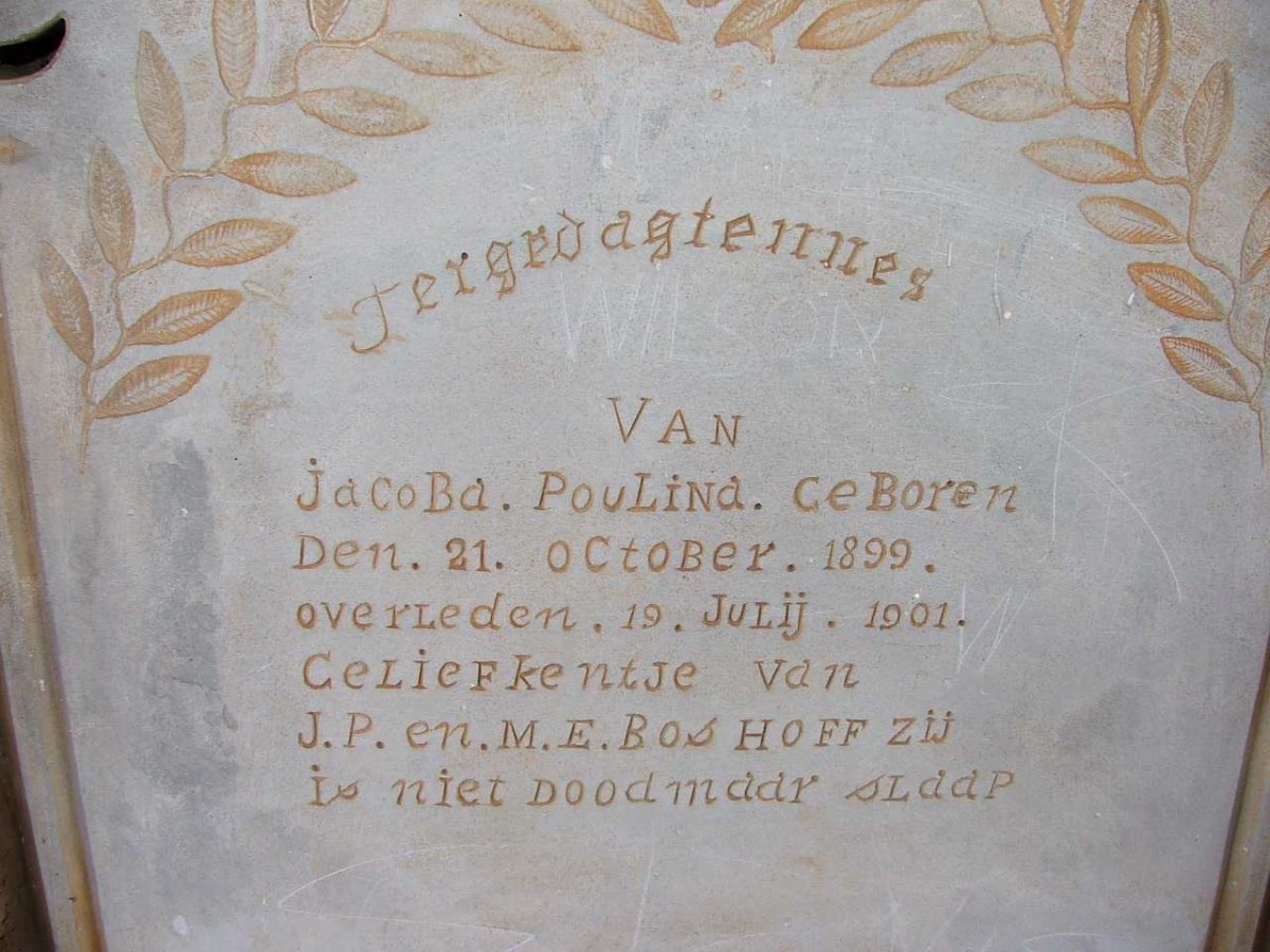 BOSHOFF Jacoba Poulina 1899-1901