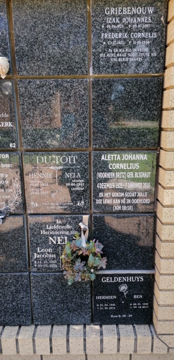 NEL :: GRIEBENOUW :: CORNELIUS :: BRITZ :: BLIGNAUT :: GELDENHUYS
