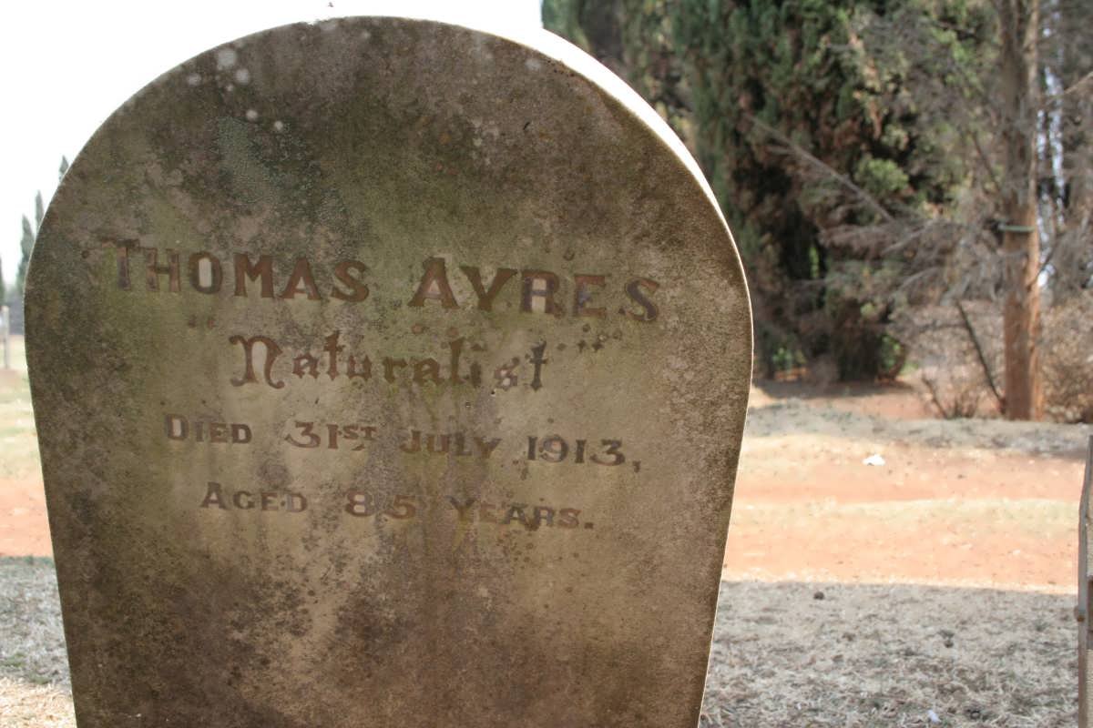 AYRES Thomas -1913