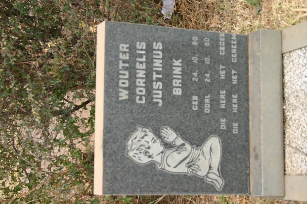 BRINK Wouter Cornelis Justinus 1980-1980