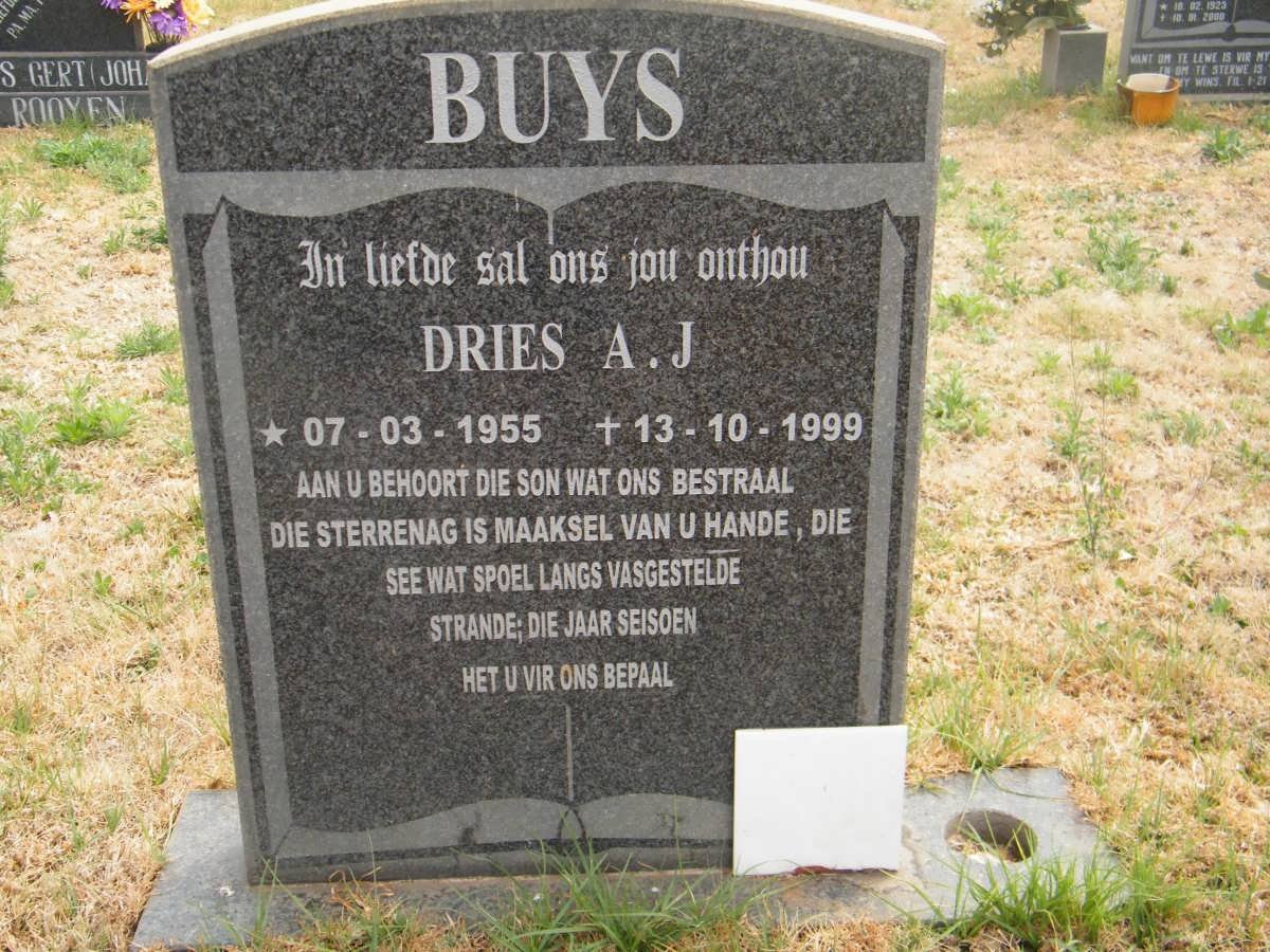 BUYS Dries A.J. 1955-1999